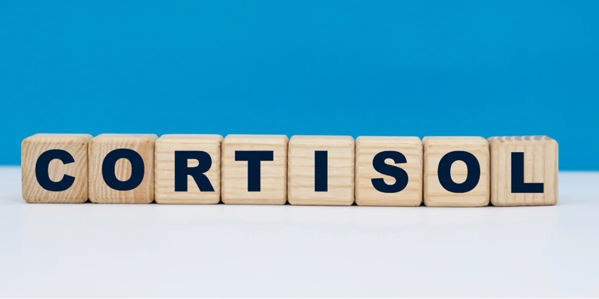 The body releases hormones like cortisol under stress, which can stimulate sebaceous (oil) glands, increasing oil production and creating conditions conducive to acne growth.